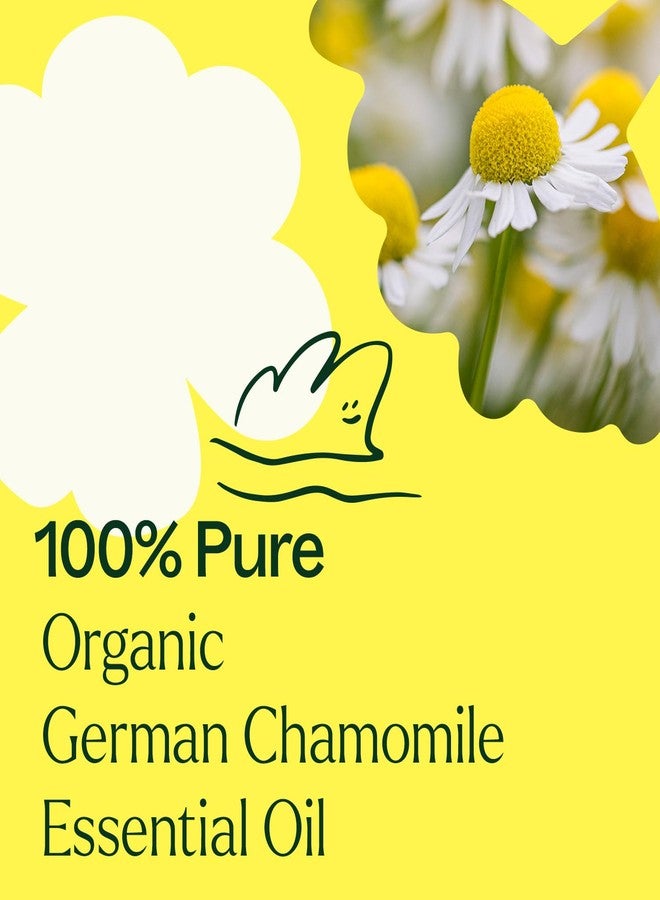 Plant Therapy Organic German Chamomile Essential Oil 2.5 mL (1/12 oz) 100% Pure, Undiluted, Therapeutic Grade - Image 5